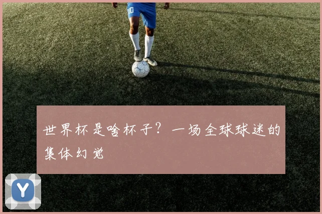 世界杯是啥杯子？一场全球球迷的集体幻觉