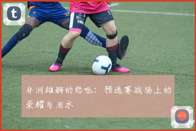 非洲雄狮的怒吼：预选赛战场上的荣耀与泪水